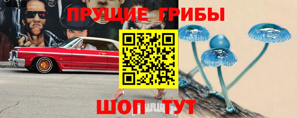 Мценск  Галлюциногенные грибы MAGIC MUSHROOMS  Вход с VPN 